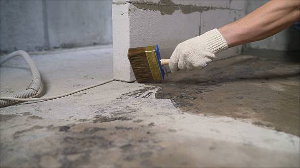 24/7 Emergency Wet Basement Repair experts in Mount Olive, IL